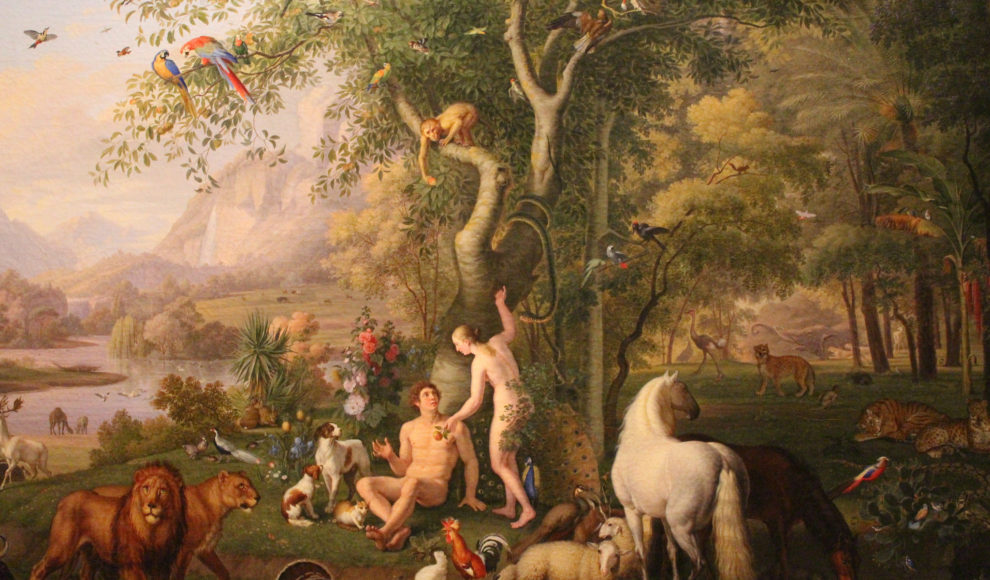 20199540225_acfab239d8_k