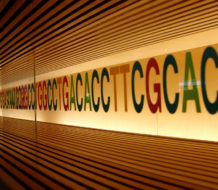 2559447601_005b33ae7d_b