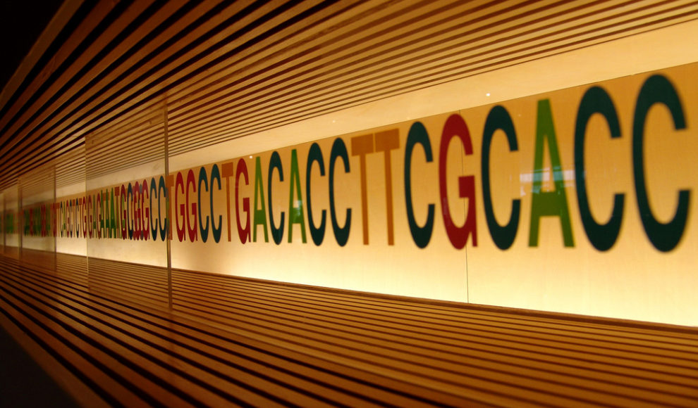 2559447601_005b33ae7d_b