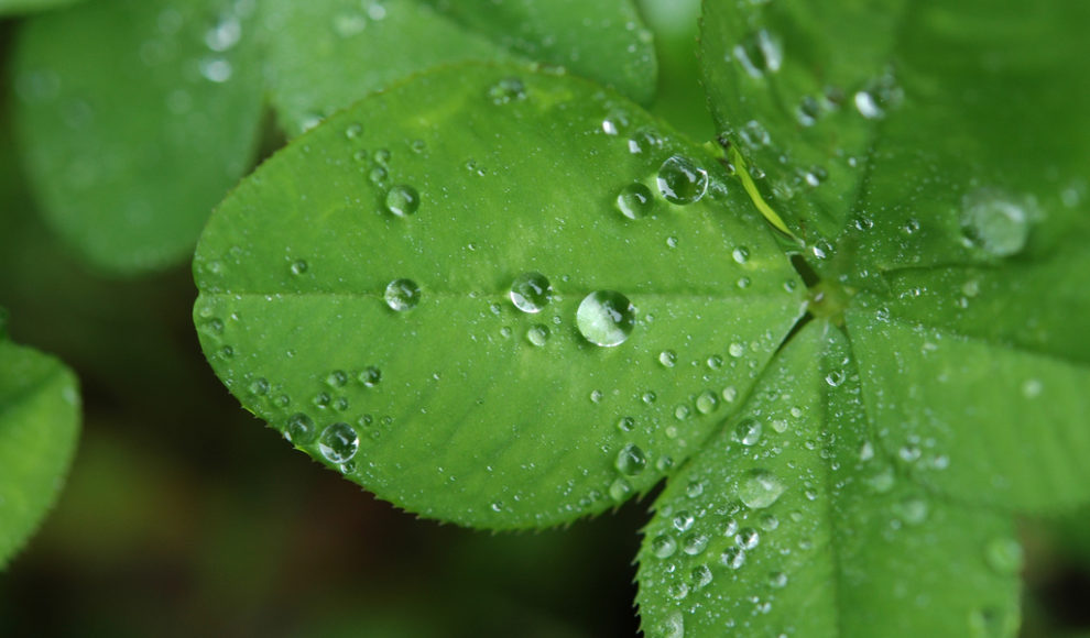 3508587596_555e1ba46f_b