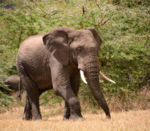 15498805477_3584d3de5b_o