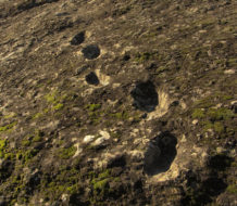 5096792548_e066ea8168_b